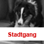 Klick zur Galerieansicht Highslide JS