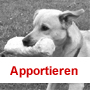 Klick zur Galerieansicht Highslide JS